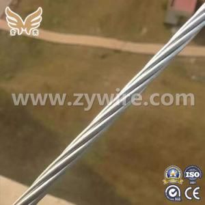 0.1-5.0mm ASTM/JIS /GB/BS Galvanized Steel Strand for Sale