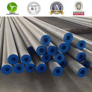 TP304 304L 316L 321 310S 321 Stainless Steel Seamless Pipe