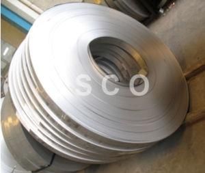 304 Stainless Steel Strip (W: 10mm-1000mm)