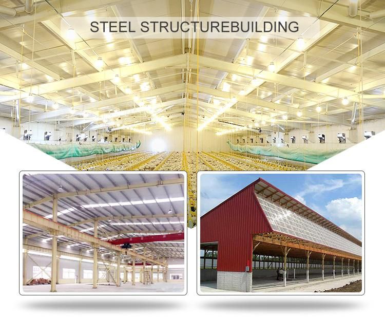 Q235 Q345 Wide Flange H Beam/H Beam Steel