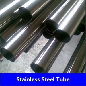 Stainless Steel Seamless Tube/Pipe From China (304L)