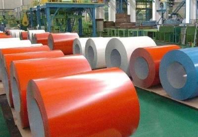Hot Sale Color Coated Steel Coil Galvanized Steel Coil From Hebei Shengdasteel Factory PPGI Coil Ral9002 Prepainted Galvanized Steel Coil