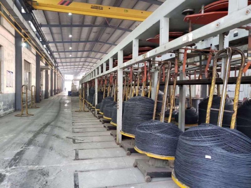 0.7-7.00 mm Hot Dipped/Cold Electro Galvanized Steel Wire Rope Manufacture