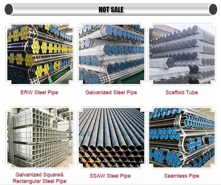 China Factory Ga/Gp/Gi/Gl/PPGL/PPGI/HDG/Galvanized Steel Coils