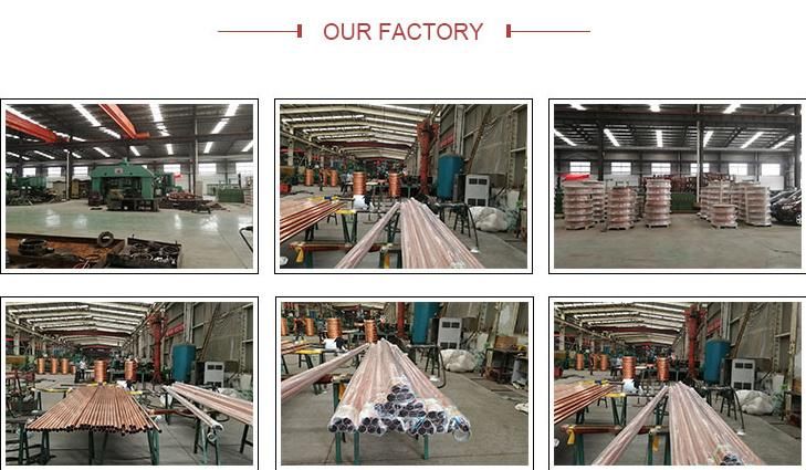 Seamless Tube Price Q195/Q235/Q345 Seamless Carbon Steel Pipe Tube