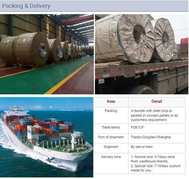 USD 600-900 Gi Coil and Galvanized Material for PPGI Steel Coil