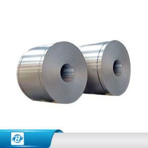 Galvanized Steel Coil for The Construction