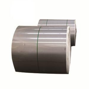 Manufacturer Supply ASTM and AISI Stainless Steel Sheet (304 321 316L, 310S, 2205)