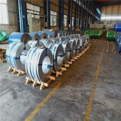Ss Strip Strip Stainless Hot Selling AISI Ss 316L Strip/Ground Stainless Steel 316L Strip