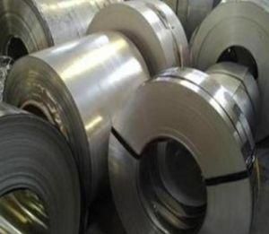 Special Particular/Peculiar Kind Stainless Steel SUS321 Specific Type