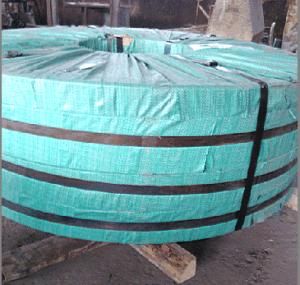 No. 4 Surface Stainless Steel Coil for Building Construction