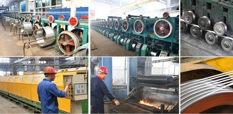 Hot Selling High Precision Cold Rolling Flat Steel Wire