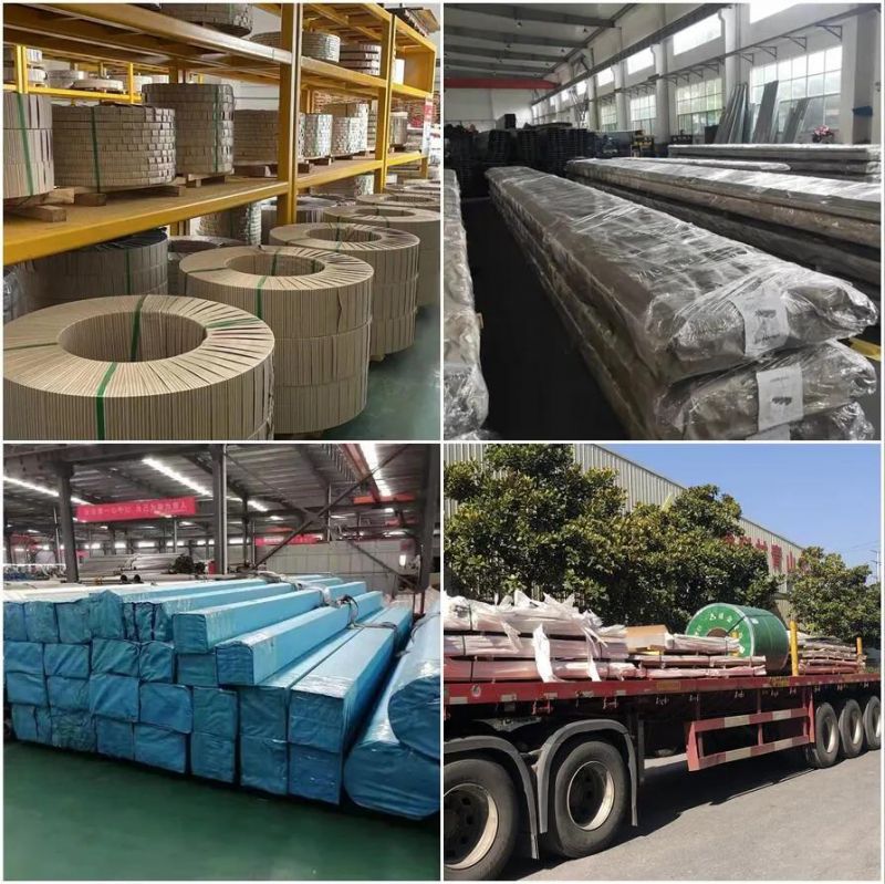 Cold Rolled & Hot Rolled SUS201 Ss Coil Strips 202 ASTM 301 304 304L Plate AISI 316 316L 316ti 309S 310S 321 410 420 430 904L Stainless Steel Strip