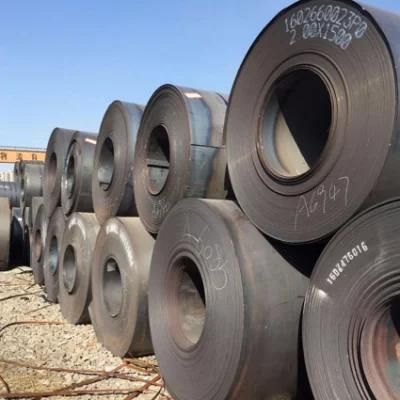 Hot Rolled Carbon Steel Ss400 Q235B A36 Ms Iron Steel Coil for Building Material