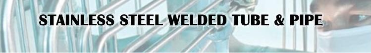 304 304L 310S 316 316L 321 Seamless Stainless Steel Pipe