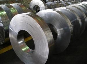 Top Quality Zero Spangle Hot Dipped Galvanized Steel Strip Z40-Z275
