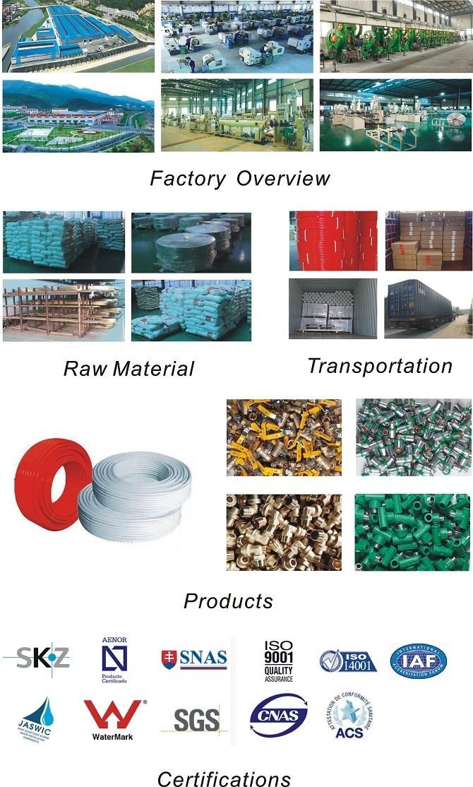 Stainless Steel Fittings