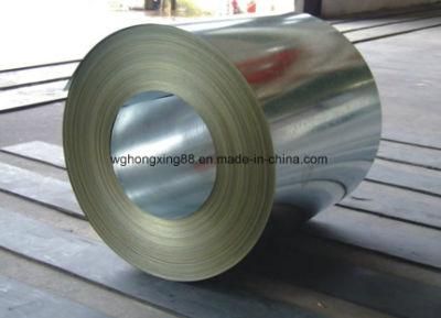 Galvanized Steel Sheet/Coil (Competitive Factory Price)