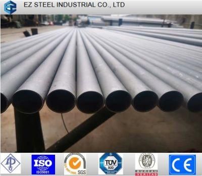 Ss Industrual Stainless Steel Seamless Pipe /Tube for Water Pipline Project