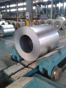 Galvanized Steel Coil with SGCC 0.3X1000mm