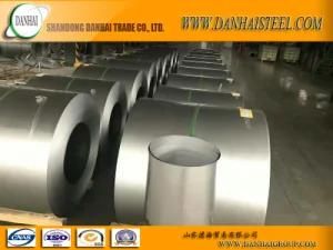 Prepainted Galvanized Steel Coil (GI)