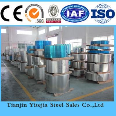 High Quality Stainless Steel Coil 304, 304L, 316L, 321, 310S