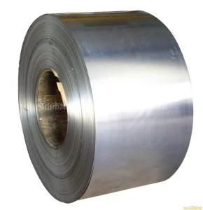 Color Coated Galvanized Steel Coils (PPGI)