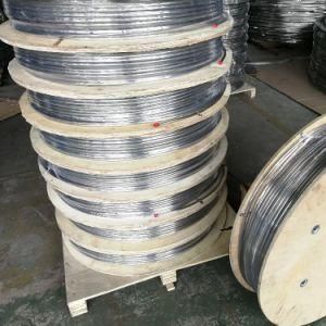 Stainless Steel 316L Coiled Tubing 9.53mm Od, 1.24mm Thickness