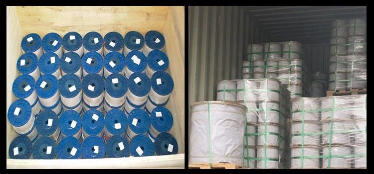 Galvanized or Ungalvanized Steel Wire Rope Cable with All Different Construction