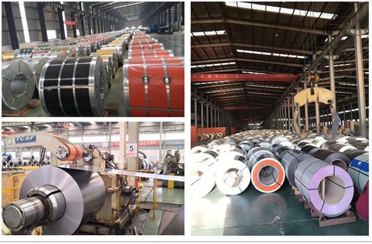 Construction Steel Coil Roofing Coil Sheet Ral Color Gi Coated Coil Coated Steel Coil PPGI Coil Price