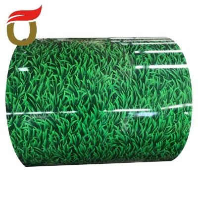 0.3-3mm ASTM Building Material Ral Code Color Coated Steel Coil