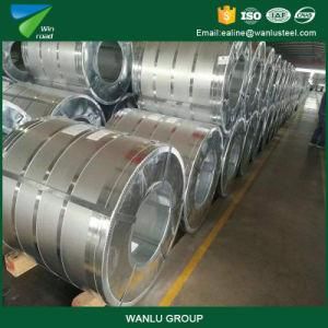 Ukraine Galvanized Steel Sheet