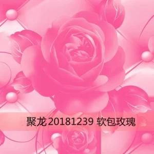 Low Price Prepainted Galvanized Steel Coil Color Pattern Flower Print PPGI