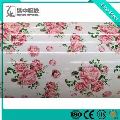 Flower PPGI Color Coated Galvanized Steel Coil