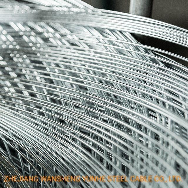 Hot Dipped Galvanized Iron Wire for Nail Making From China Factory