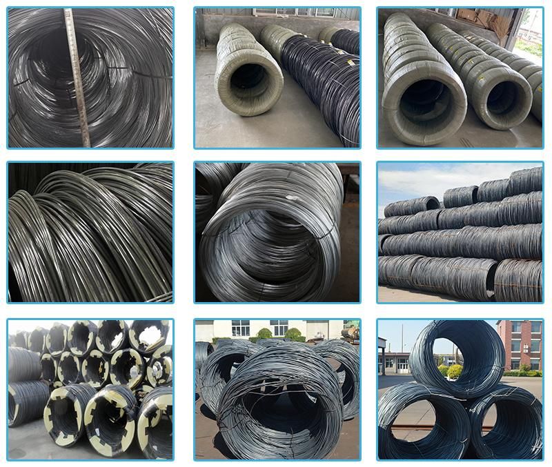 Customized Cold Drawn High Tensile Carbon Spring Steel Wire