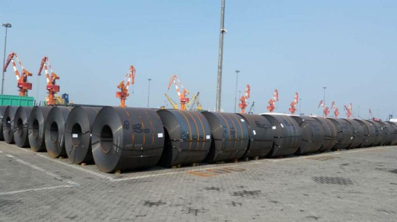 8mm Thickness Hot Rolled Steel Plate / Coil / Steel Plate for Shipbuilding Price Per Ton