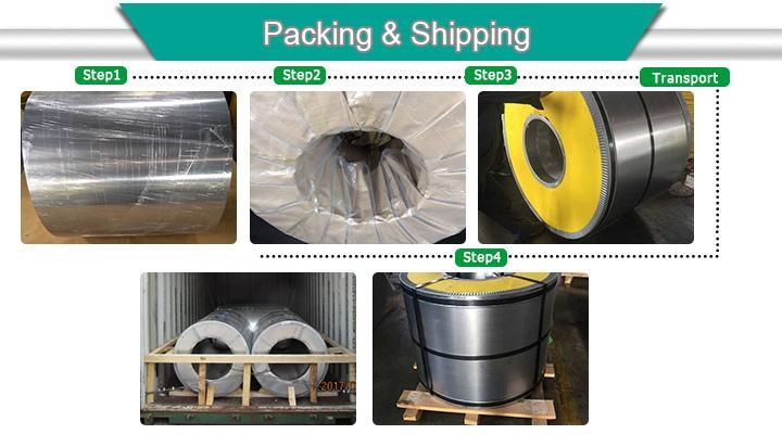 Mr SPCC Tinplate Steel SPTE Coil Tin Sheet