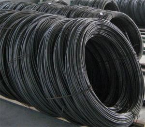 High Quality, Low Carbon, Hot Rolled, Best Price SAE1008b 5.5-14mm Steel Wire Rods for Construction