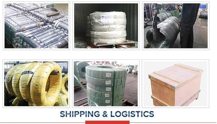 Zinc Coated Wire Hot Cold DIP Galvanized Stainless Steel Wire Supplier