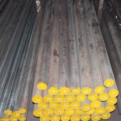 Alloy Steel Machinery Steel SAE52100 100CR6 EN31 SUJ2 GCr15