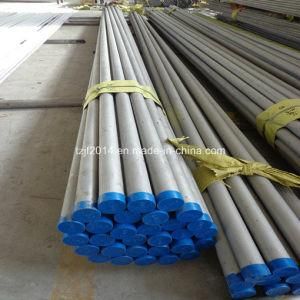 OEM ASTM a 312 TP304 Stainless Steel Seamless Pipes