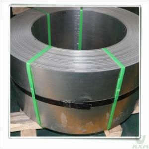 1.4529 1.4301 Strip for Petrochemical Engineering