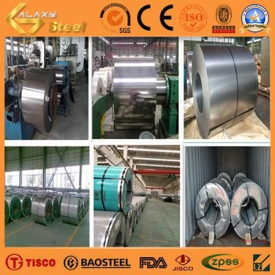 Hot Sale 316L Stainless Steel Coil Material