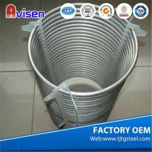 Tp 321 (304, 304L, 316L, 321, 310S) Stainless Steel Coil Pipe