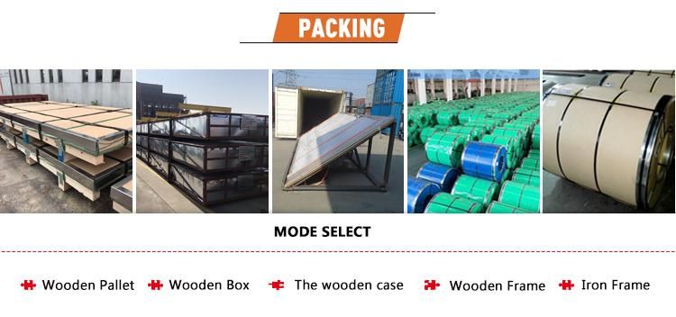 ASTM Hot Cold Rolled 201 301 304 304L 316 316L 309S 409 410 444 904L 2205 2507 Stainless Steel Strip Sheet Coil Supplier