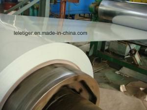 Prepainted Steel in Coils