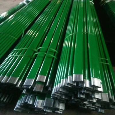 Top Quality Stainless Steel Tube/Pipe Galvanized Tube Oval Pipe for Greenhouse