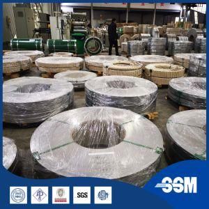 Electro Galvanized Steel (EGI) Steel Coil / Strip / Plate / Sheet by China Factory with Competitive Price for Automobile