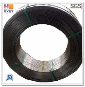 Cold Rolling Steel Flat Wire Coil for Making Window Friction Stay